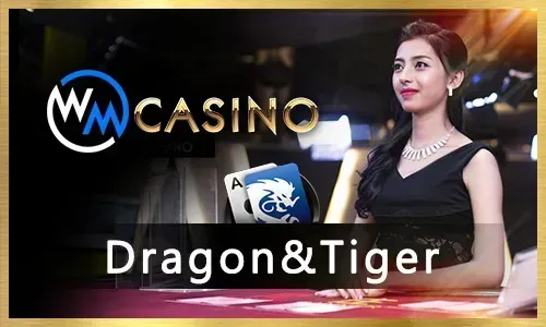Mastering Live Casino Games